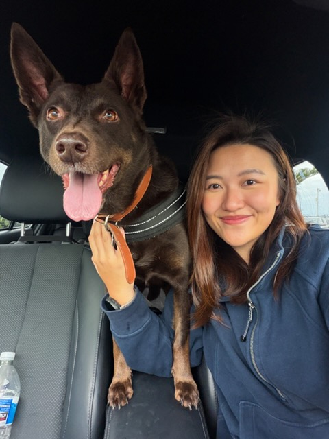 Ranford Vet - Meet the Team - Ennika